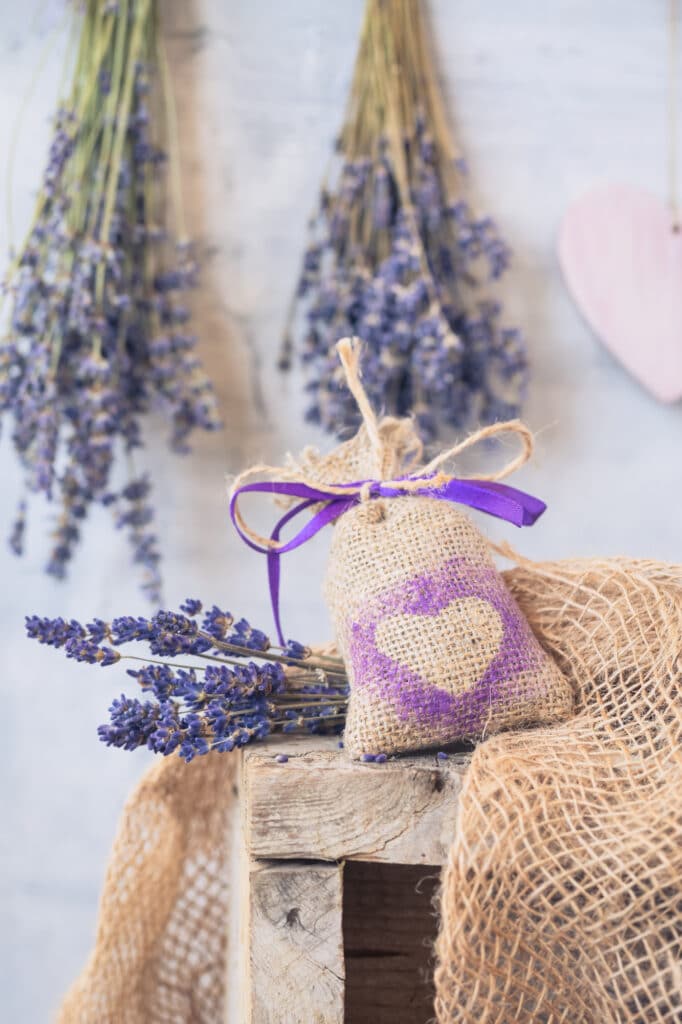 Lavender plants hanging upside down for making fragrant crafts.