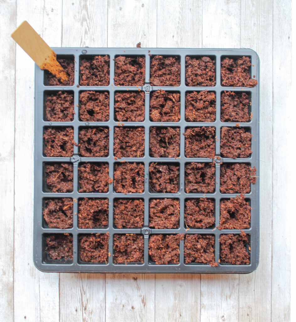A seed-starting tray filled with seed-starting mix!