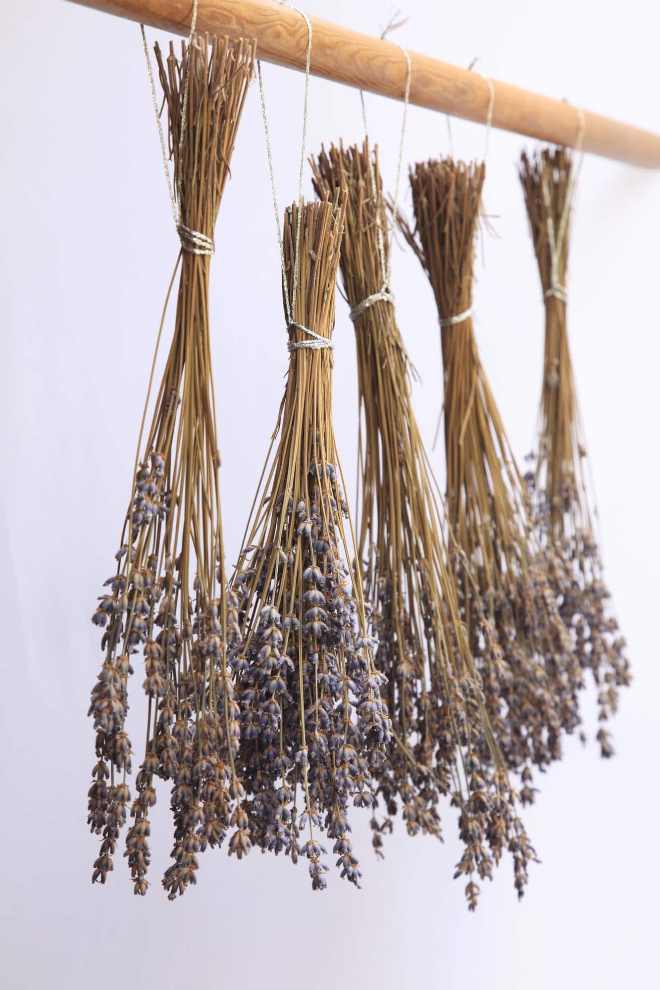 Lavender flower bushels hanging upside down on wooden pole