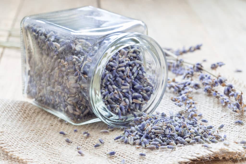 Dried Lavender in Glass Jar