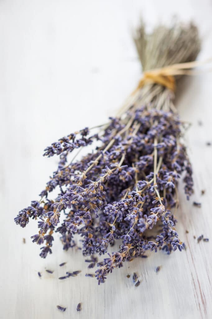 Dried Lavender Bushel laying flat